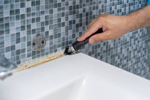 Professional Mold Remediation in Waterville, OH